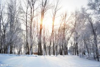 冬季辦公家具的保養(yǎng)和維護 冬季辦公家具的保養(yǎng)和維護